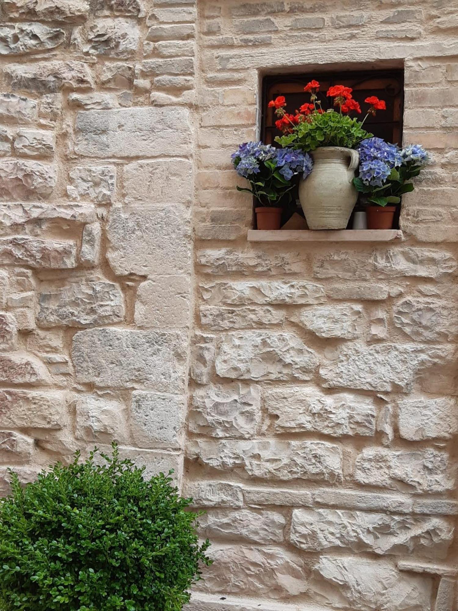 Le Dimore Arcangelo Maria Assisi Exterior photo